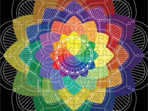 Mandala Black Puzzle